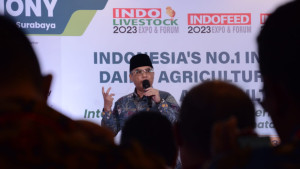 Wamentan: Sinergi Lintas Sektor Sangat Penting untuk Meningkatkan Produksi Komoditas Pertanian di Indonesia